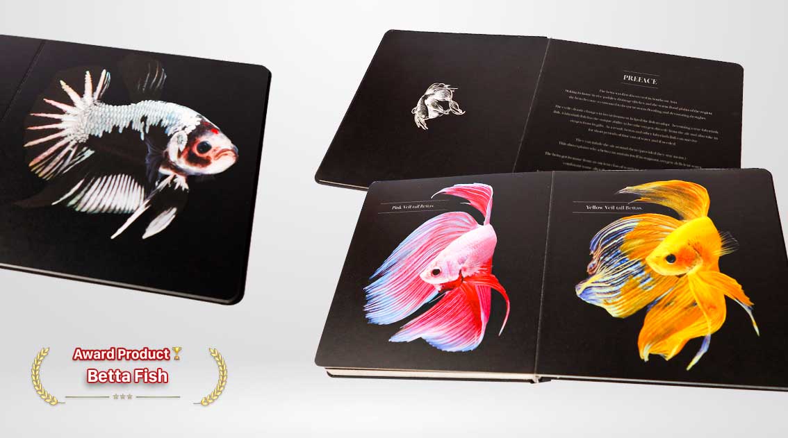 The Fighting Fish